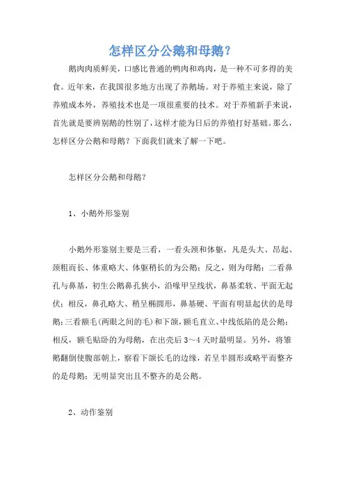 怎样区分公鹅和母鹅？