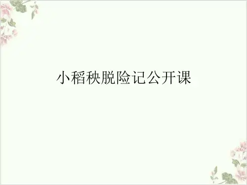 小稻秧脱险记PPT.
