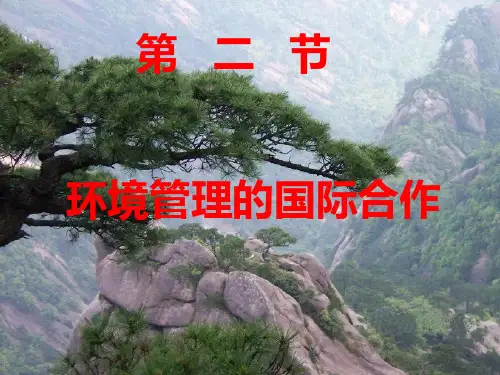 第二节环境管理的国际合作
