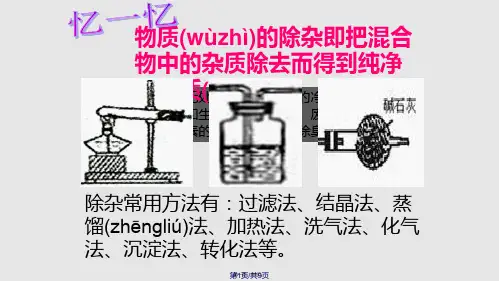 物质的除杂九年级化学专题复习教学PPT课件