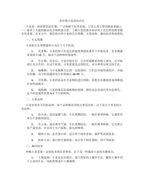 农作物小麦的知识点