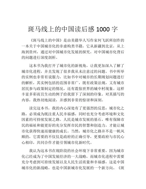 斑马线上的中国读后感1000字