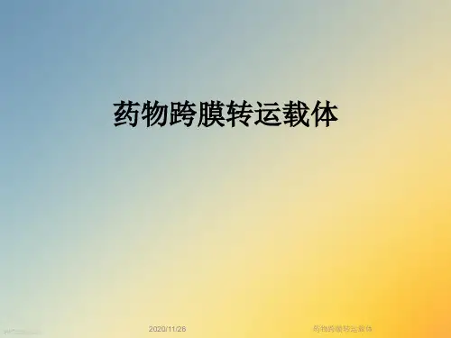 药物跨膜转运载体