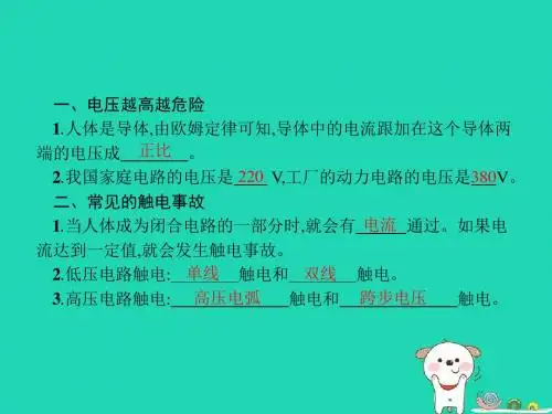 九年级物理全册19.3安全用电课件(新版)新人教版