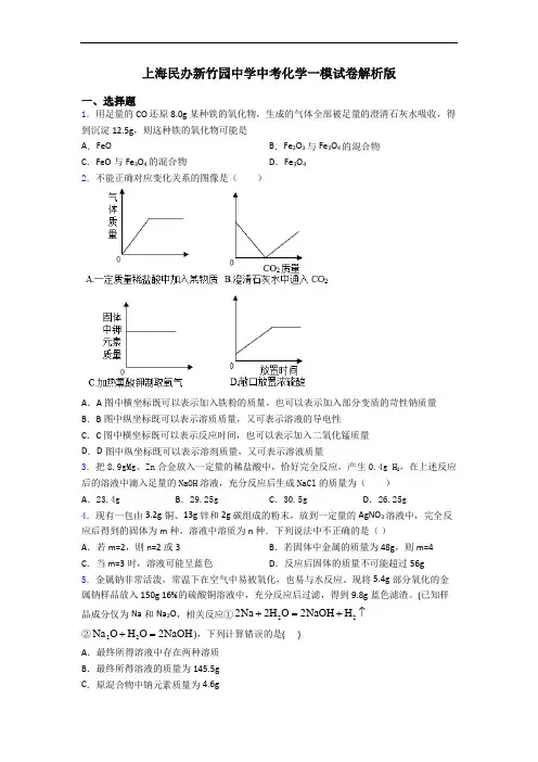 上海民办新竹园中学中考化学一模试卷解析版