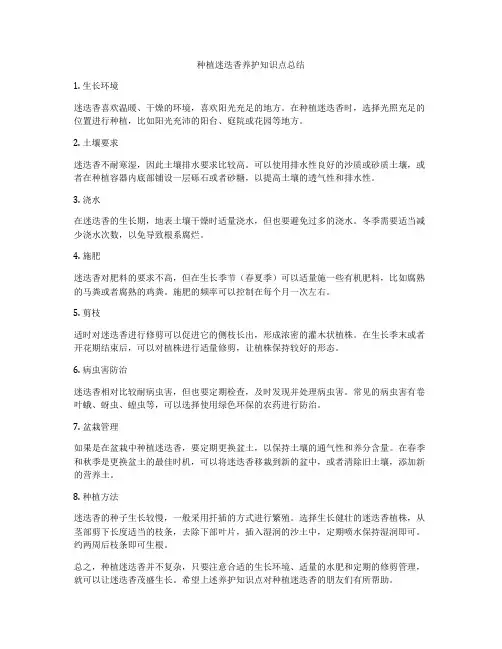 种植迷迭香养护知识点总结