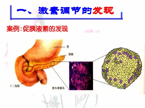 必修3通过激素的调节课件_新课标_人教版_PPT幻灯片