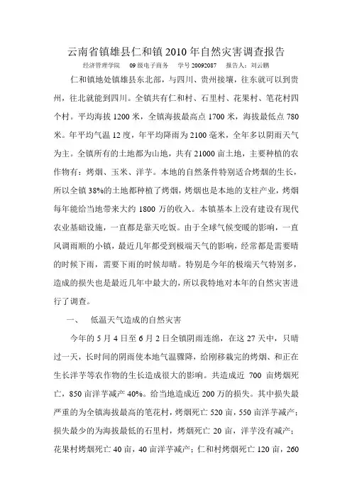 云南省镇雄县仁和镇2010年自然灾害调查报告