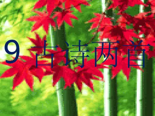 新课标人教版三年级上册《9古诗两首夜书所见九月九日忆山东兄弟》PPT课件