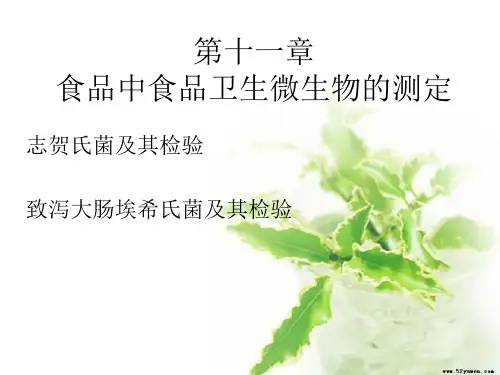 志贺氏菌和致泻大肠埃希式菌的检验
