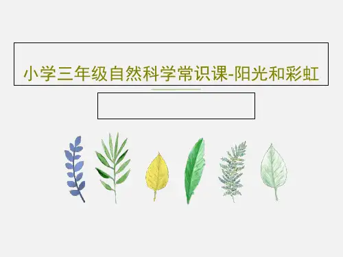 小学三年级自然科学常识课-阳光和彩虹共17页