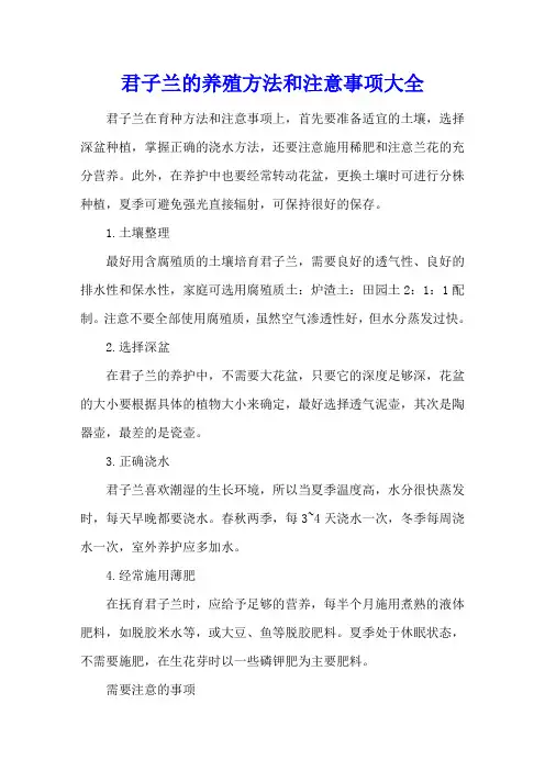 君子兰的养殖方法和注意事项大全