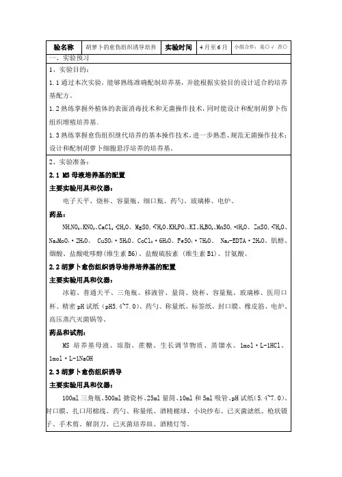 胡萝卜愈伤组织培养