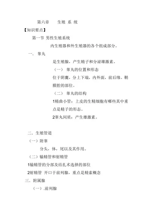 生殖系统