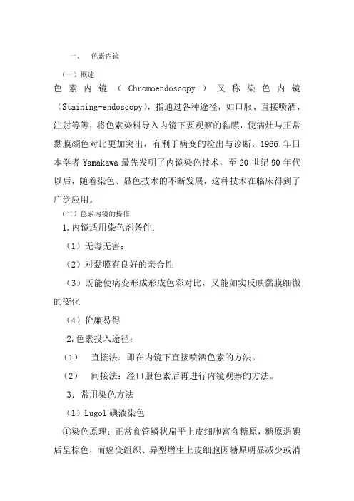 放大内镜 色素内镜