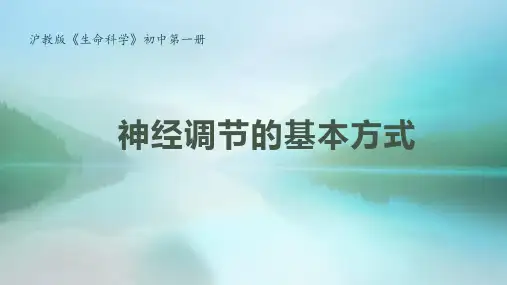 沪教版生物八年级第一册 2.1.3 神经调节的基本方式  课件 