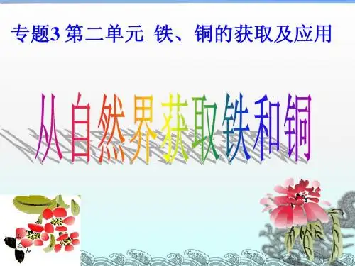 《从自然界中获取铁和铜》