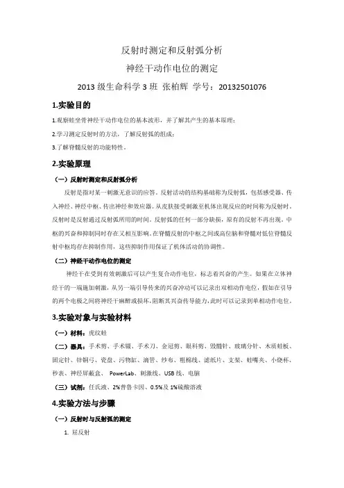 神经干动作电位