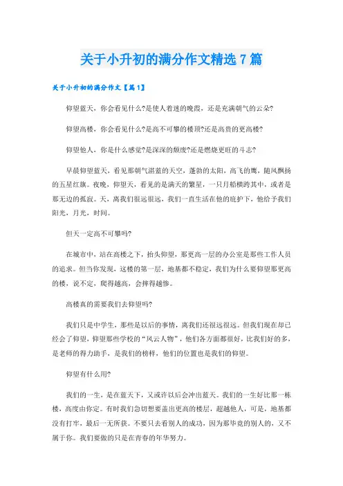 关于小升初的满分作文精选7篇