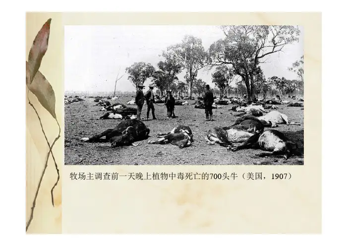 草地有毒植物生态学(一)东北师大邢福教授
