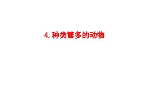 六年级上册科学课件-4-4种类繁多的动物 教科版(共22张PPT)