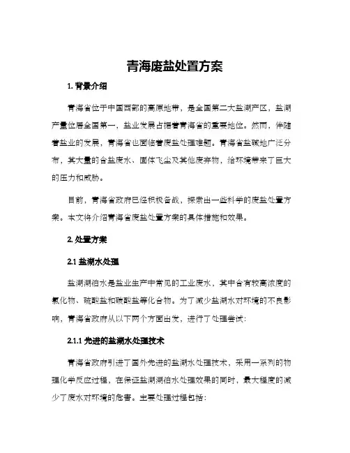 青海废盐处置方案
