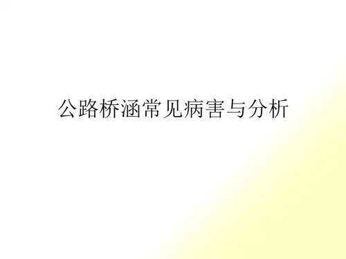 公路桥涵常见病害与原因分析