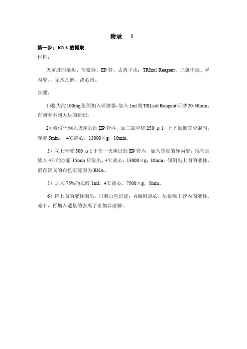 荧光定量PCR操作规程(组织)