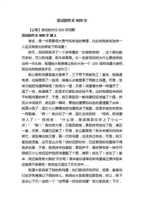 【必备】尝试的作文600字四篇