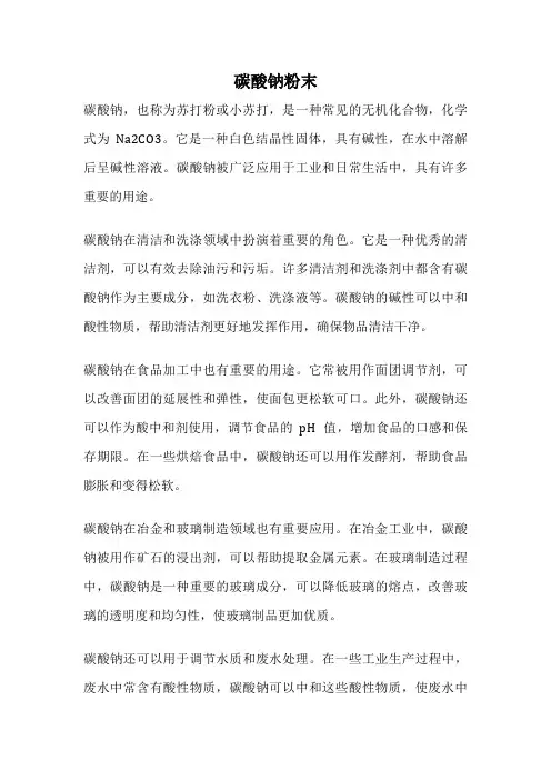 碳酸钠粉末