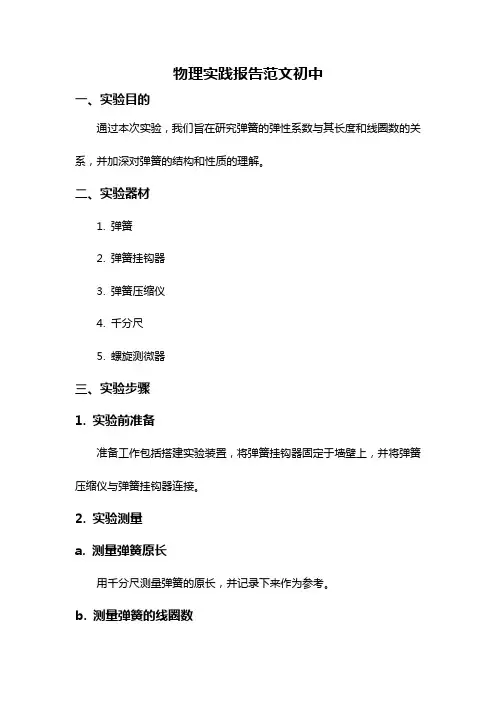 物理实践报告范文初中
