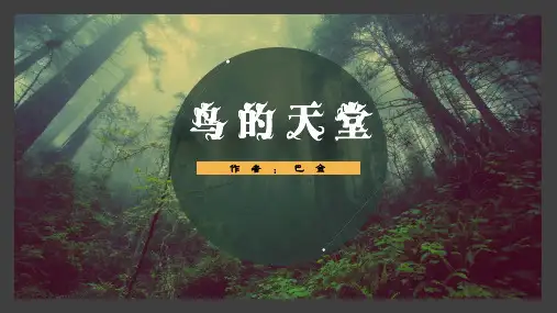 《鸟的天堂》ppt课件