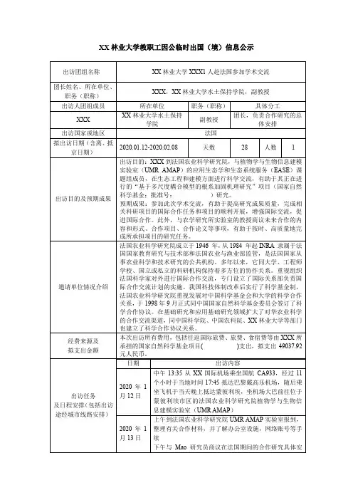 大学教职工因公临时出国(境)信息公示【模板】