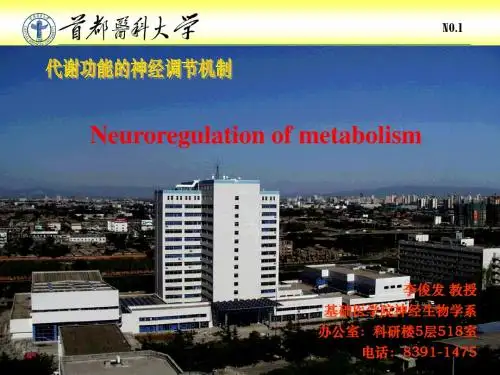 代谢功能的神经调节机制