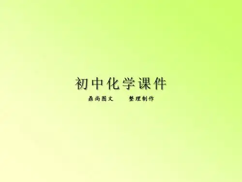 人教版九年级化学上册离子1.pptx