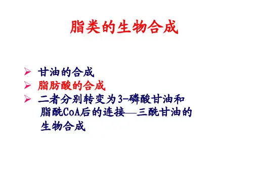【生物化学】脂类的生物合成