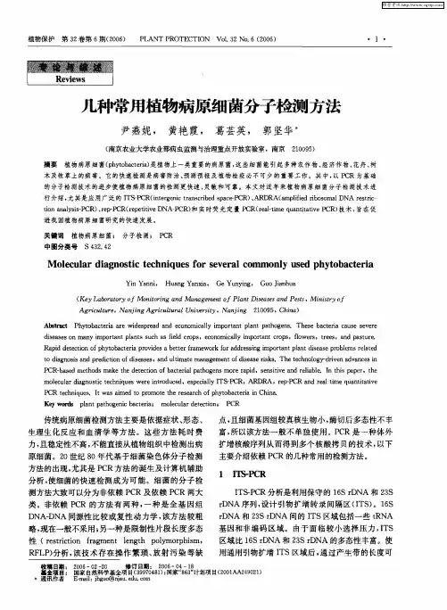 几种常用植物病原细菌分子检测方法