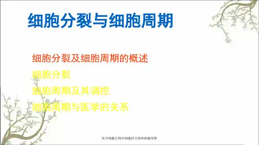 医学细胞生物学细胞的分裂和细胞周期