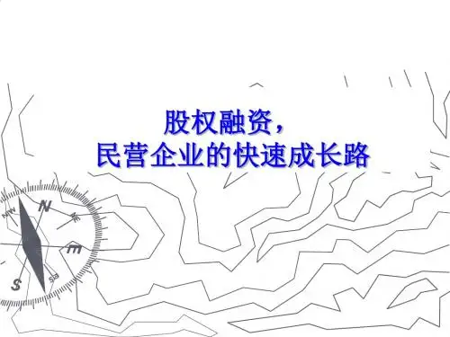 民营企业的快速成长路之股权融资PPT课件( 21页)