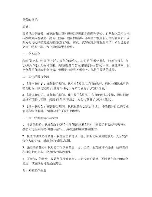 经理申请书范文