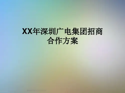 XX年深圳广电集团招商合作方案