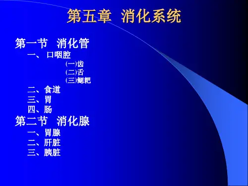 第五章  消化系统  鱼类生物学 教学课件