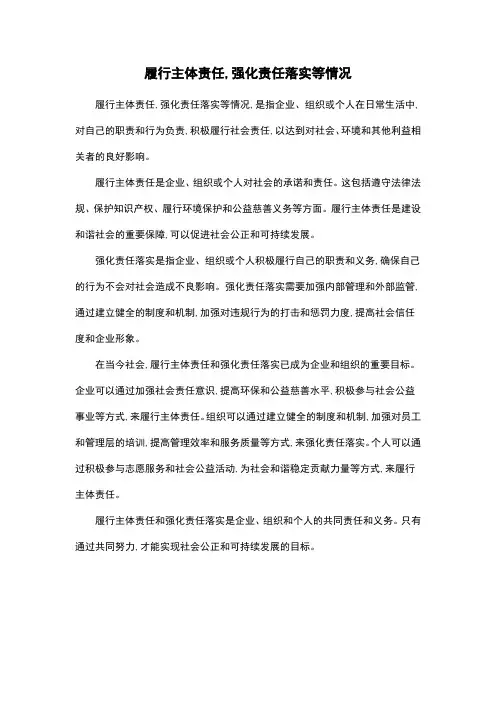 履行主体责任,强化责任落实等情况