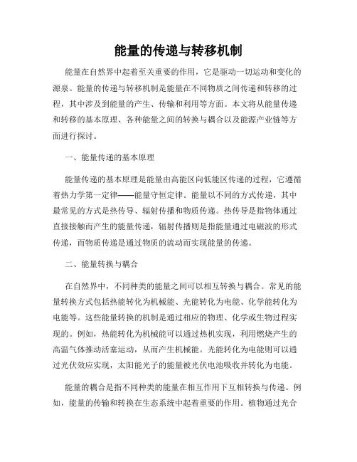 能量的传递与转移机制
