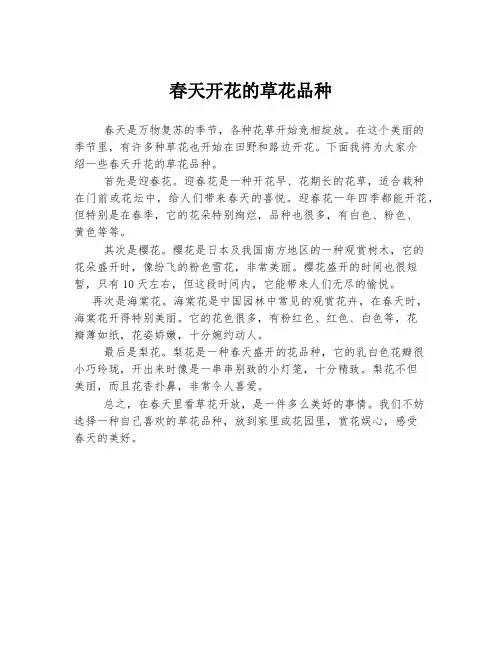 春天开花的草花品种