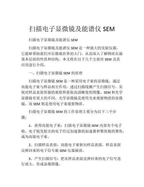扫描电子显微镜及能谱仪SEM
