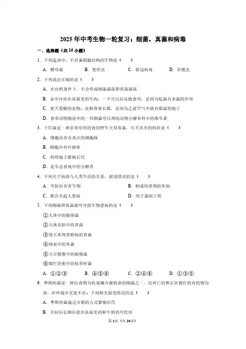 2025年中考生物一轮复习：细菌真菌和病毒 (附答案解析)