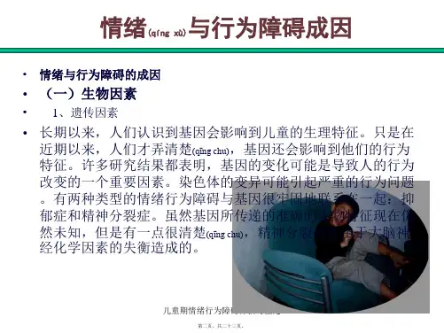 儿童期情绪行为障碍评估与鉴定课件