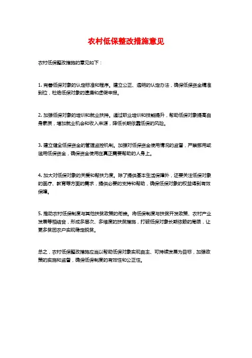 农村低保整改措施意见