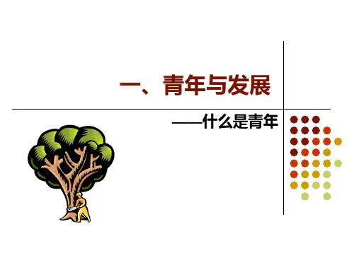 团干部工作及素养ppt课件